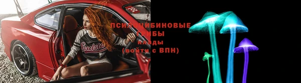 прущая мука Алзамай